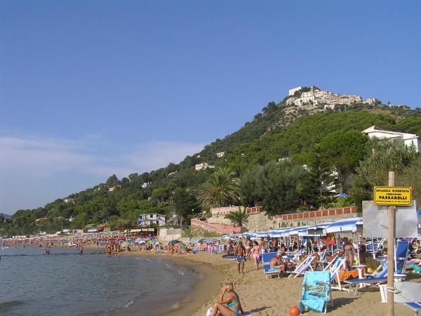 FESTIVAL OF THE GULF