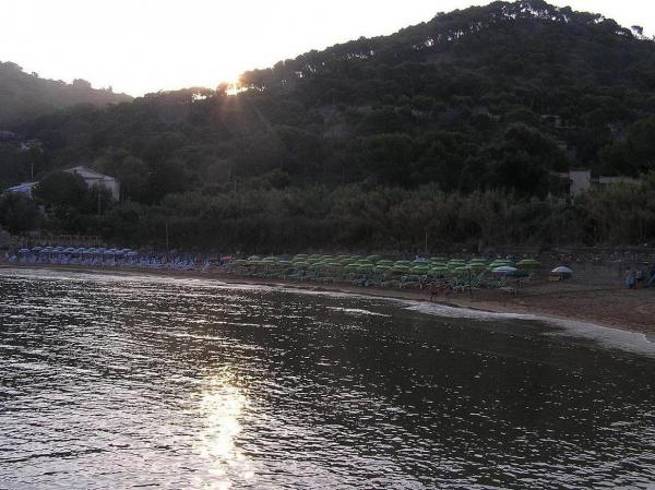 FESTIVAL OF THE GULF